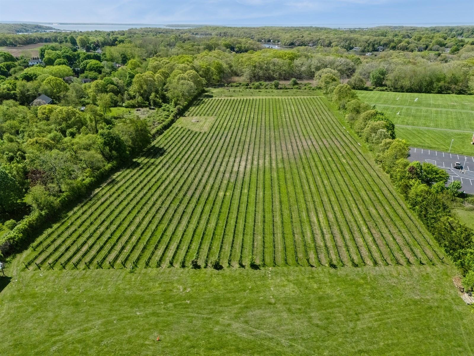 #6 photo, 35950 Main Road, サフォーク郡 Cutchogue , NY 11935