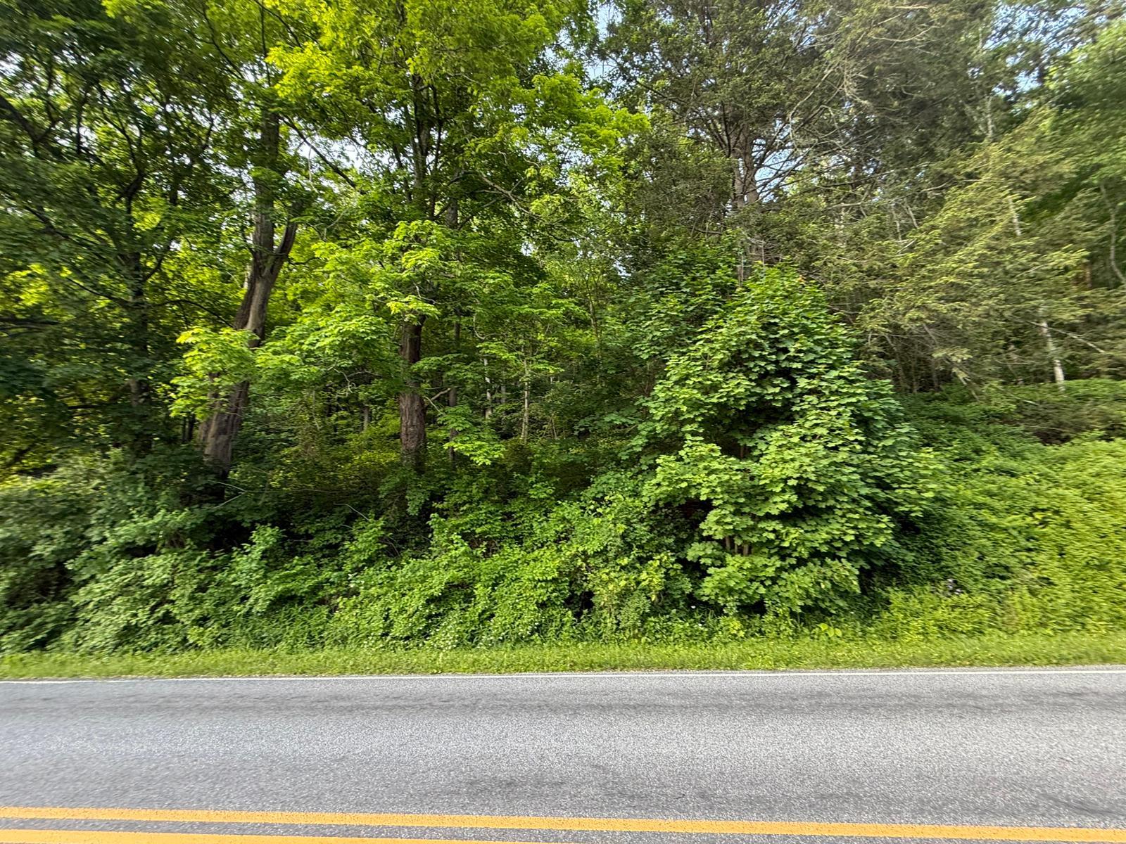 #1 photo, 591 Bog Hollow Road, 紐約州 Wassaic , NY 12592