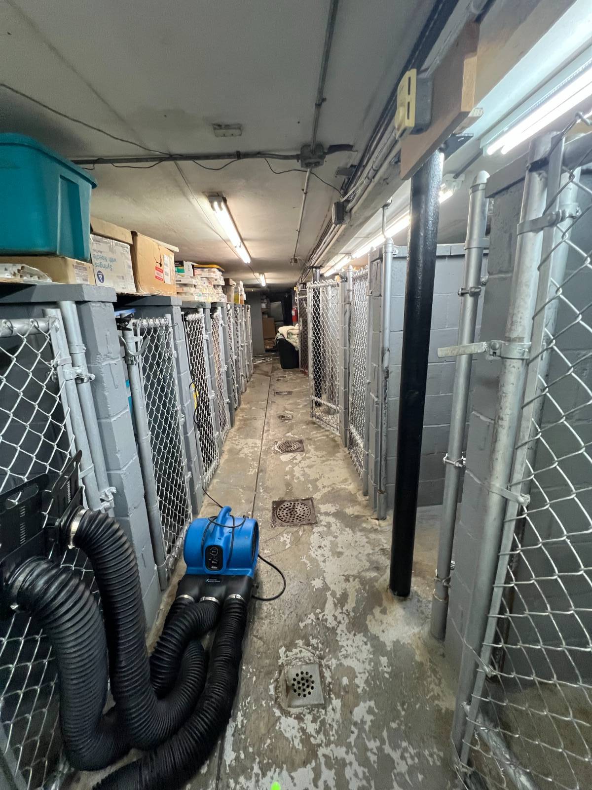 #17 photo, 9518 Ave L, ブルックリン区 Canarsie , NY 11236