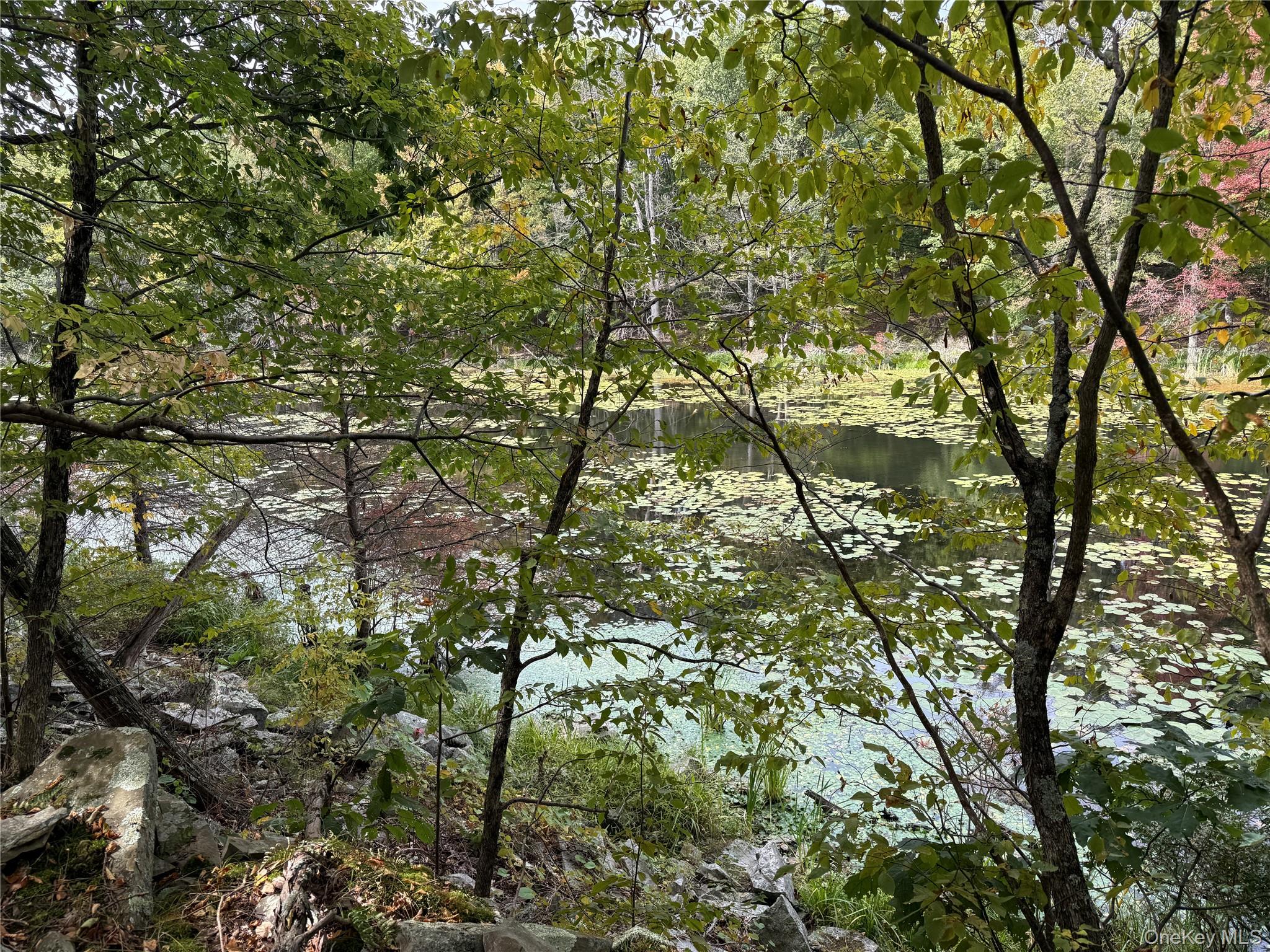 #8 photo, 745 Floyd Ackert Road, New Paltz , NY 12561