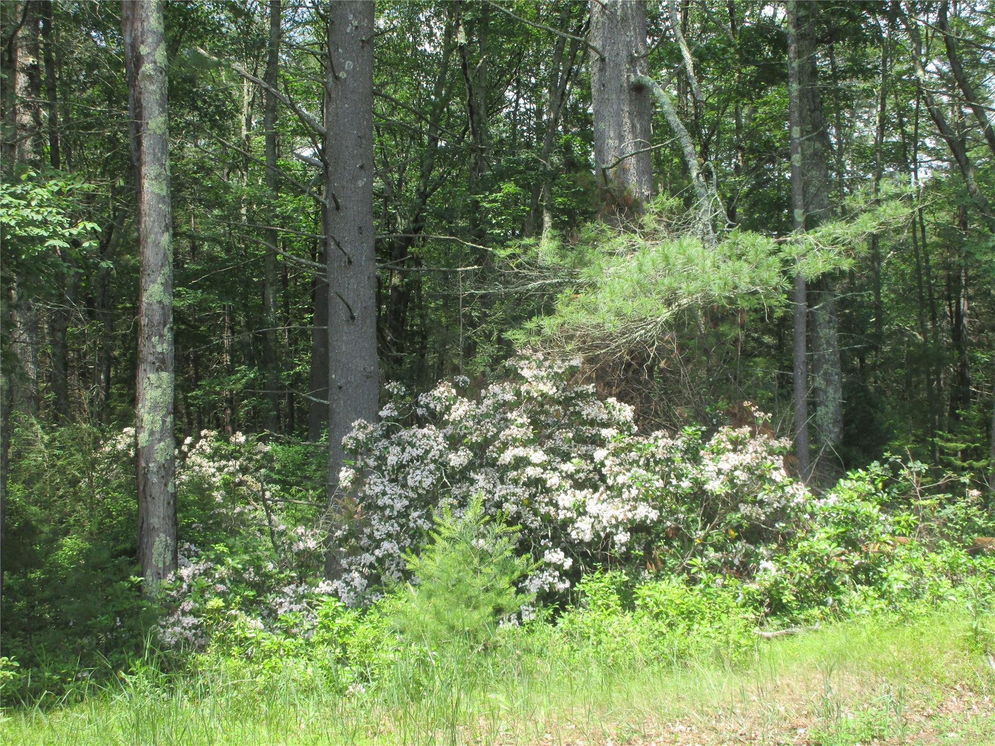 #9 photo, 34 Whitehead Road, Sparrowbush , NY 12780