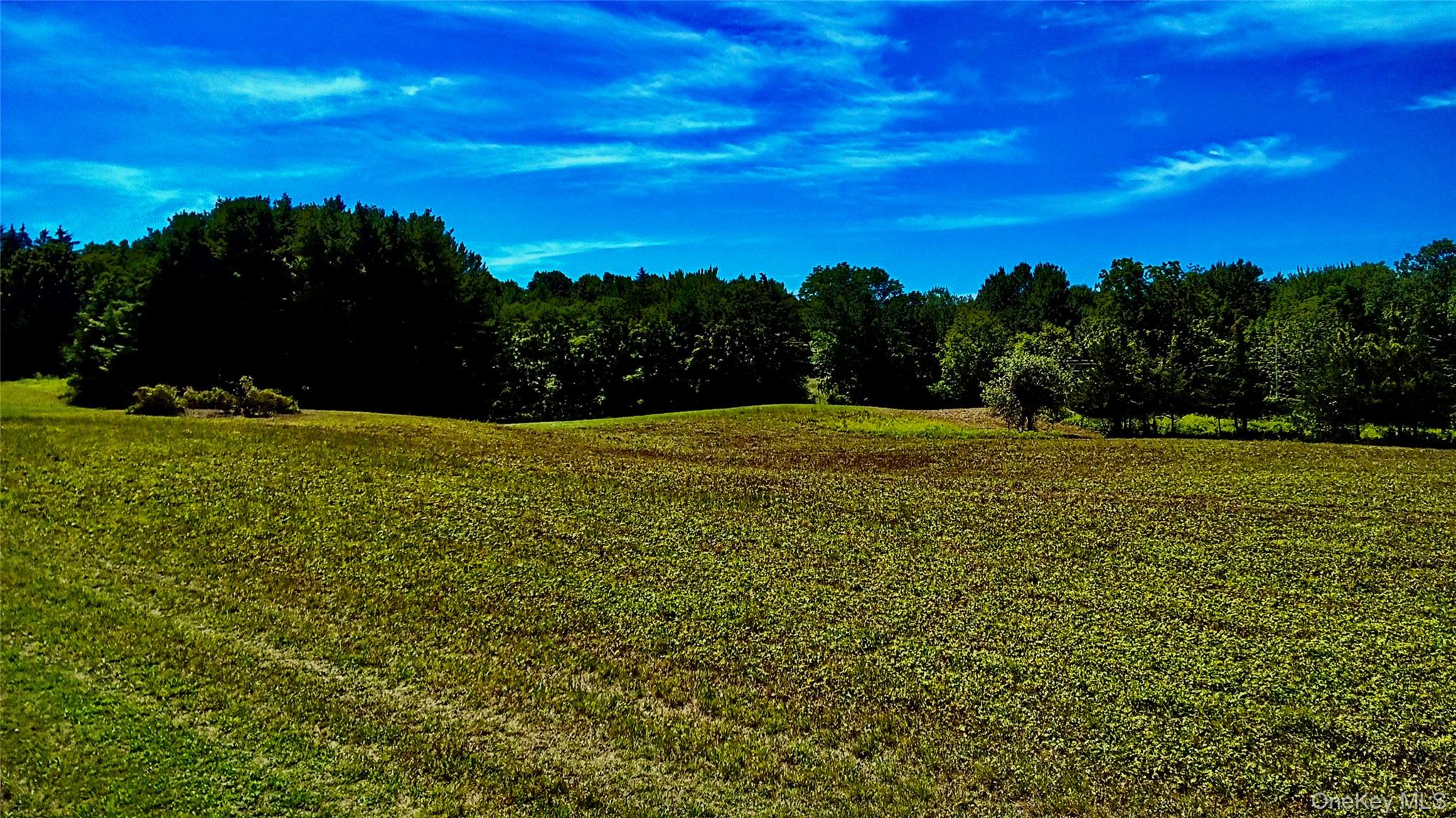 #10 photo, Mambert/Water Street Road, Hudson , NY 12534