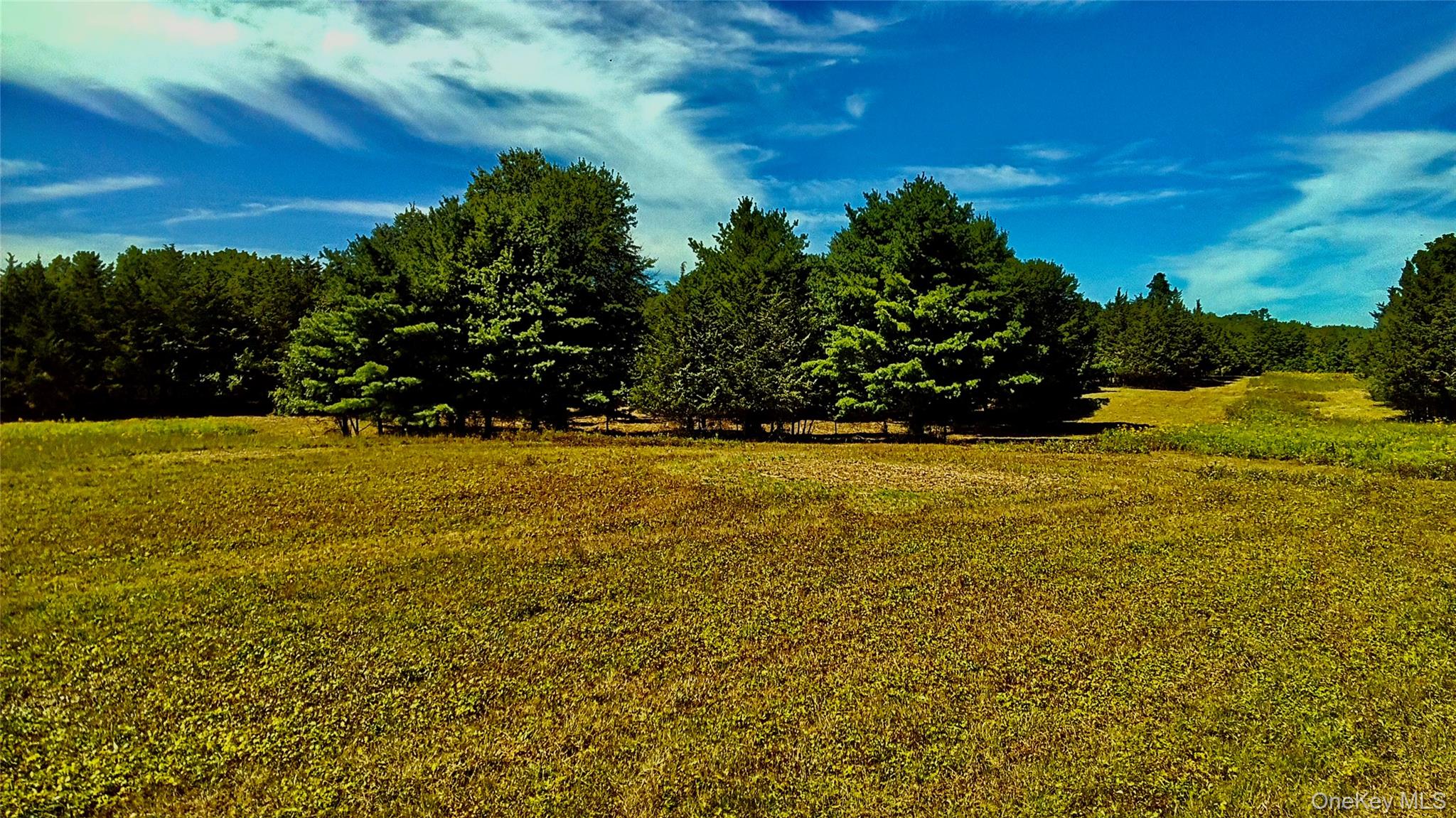 #12 photo, Mambert/Water Street Road, Hudson , NY 12534