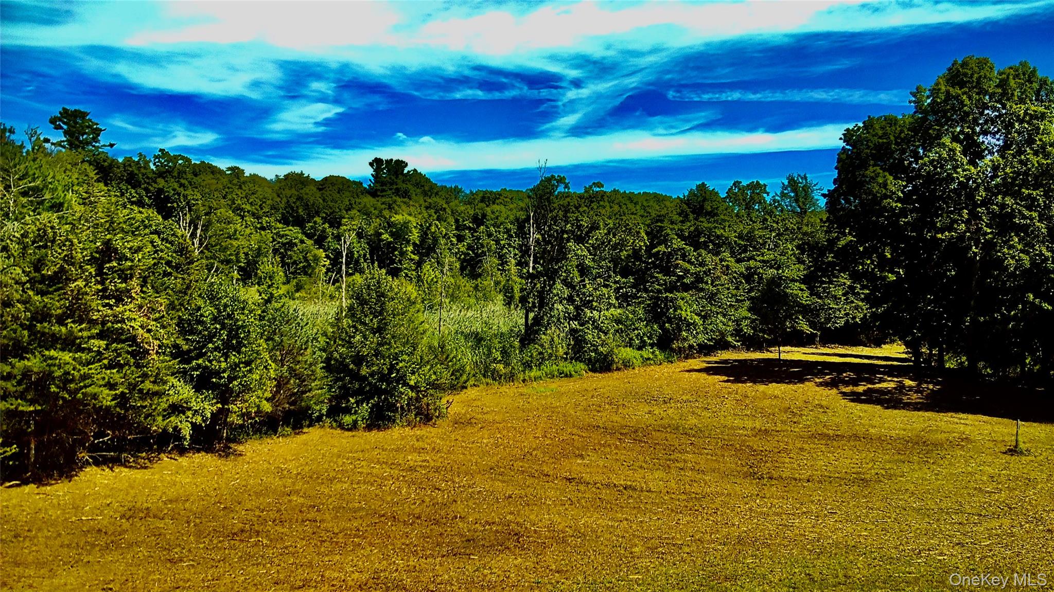 #14 photo, Mambert/Water Street Road, Hudson , NY 12534