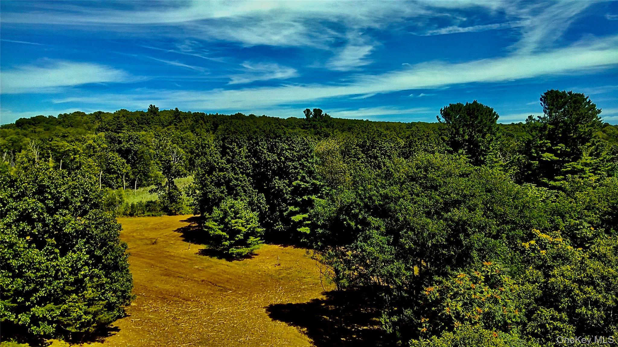 #3 photo, Mambert/Water Street Road, Hudson , NY 12534