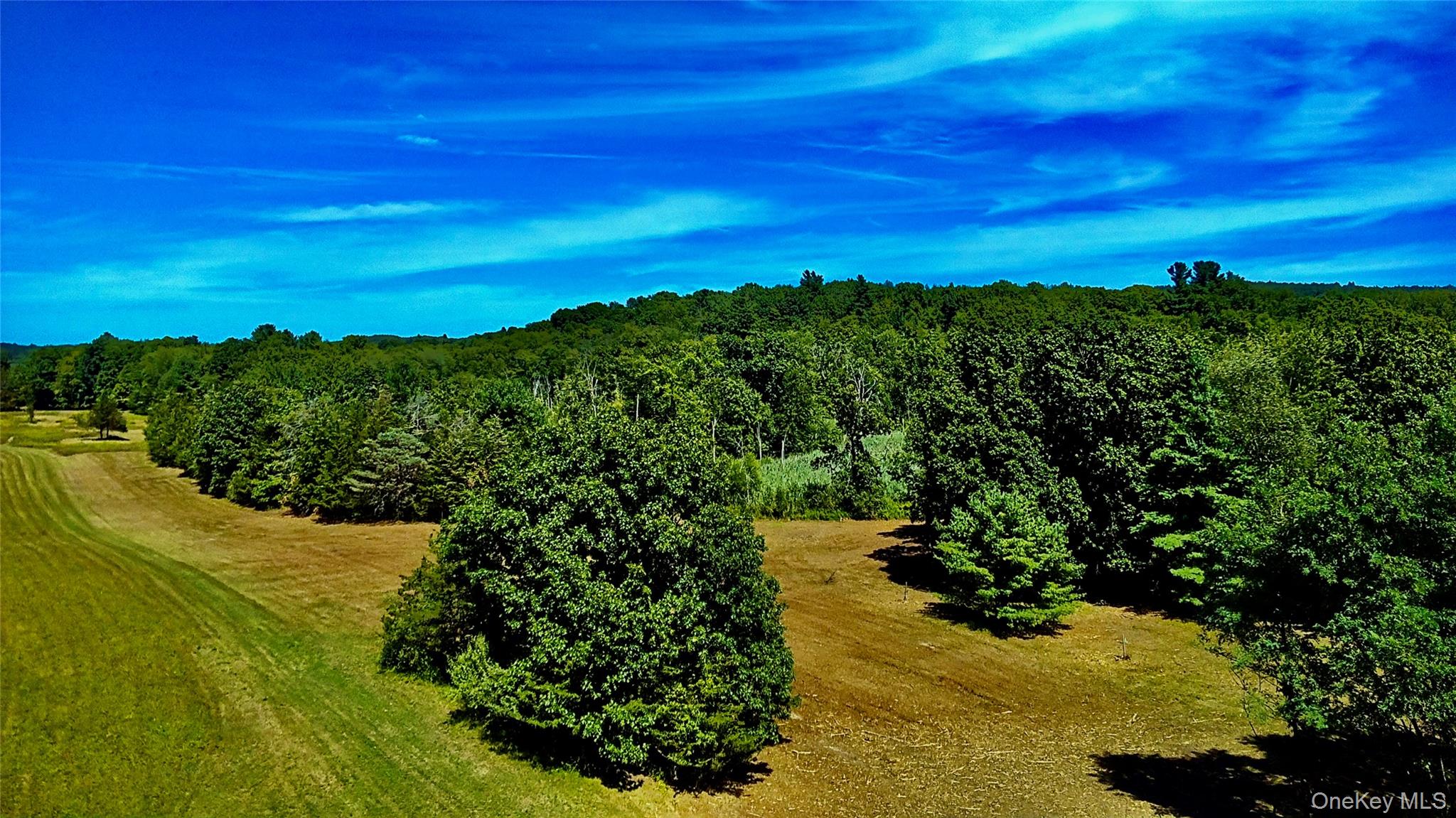 #6 photo, Mambert/Water Street Road, Hudson , NY 12534