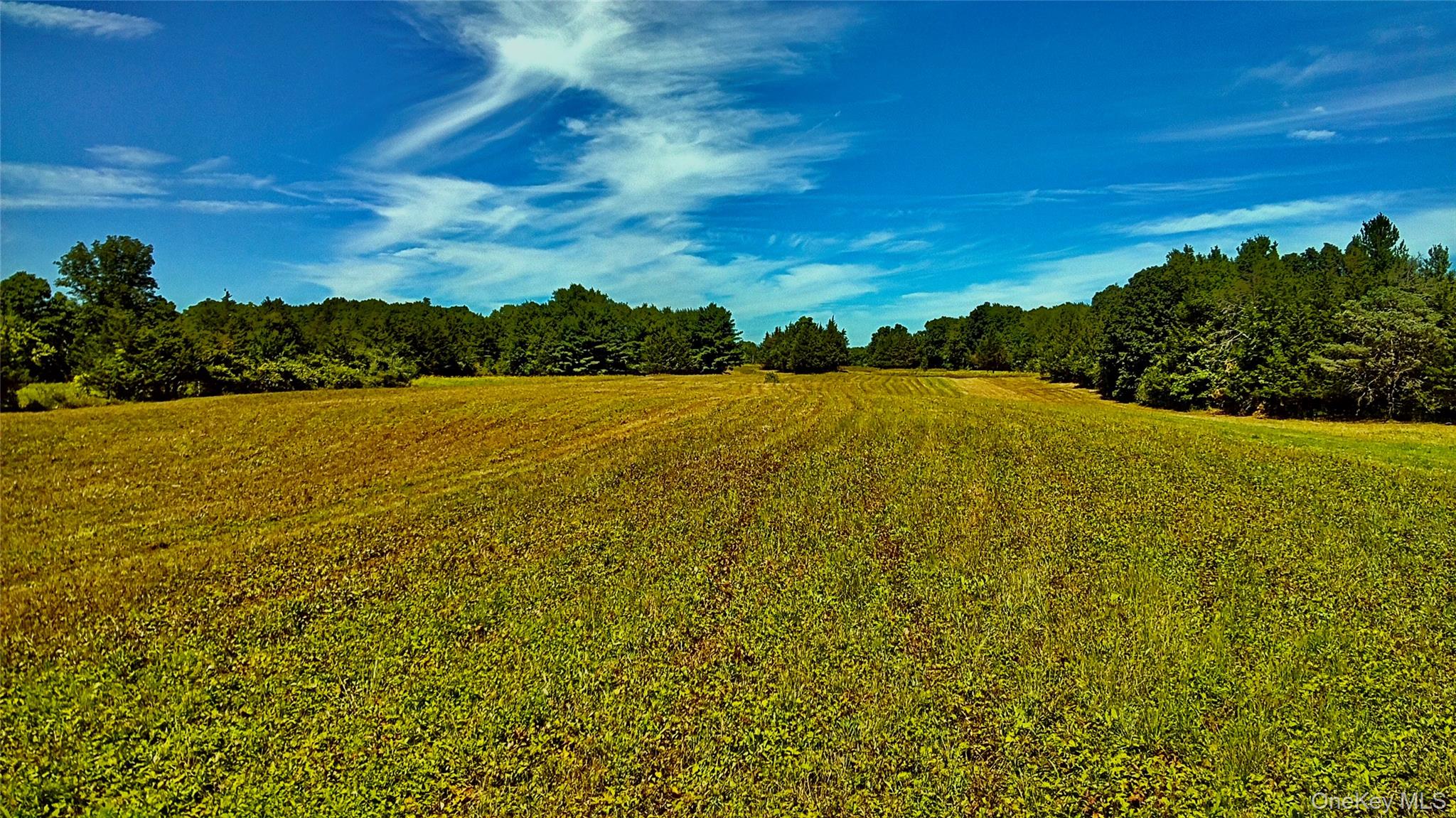 #7 photo, Mambert/Water Street Road, Hudson , NY 12534