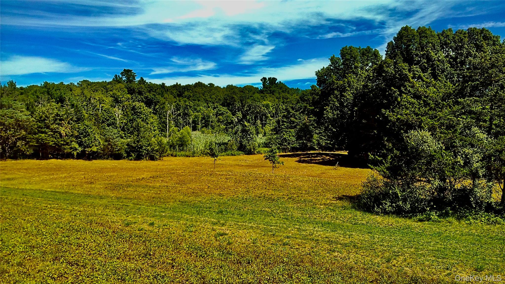 #8 photo, Mambert/Water Street Road, Hudson , NY 12534