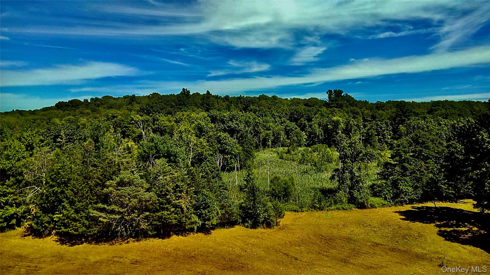 #9 photo, Mambert/Water Street Road, Hudson , NY 12534