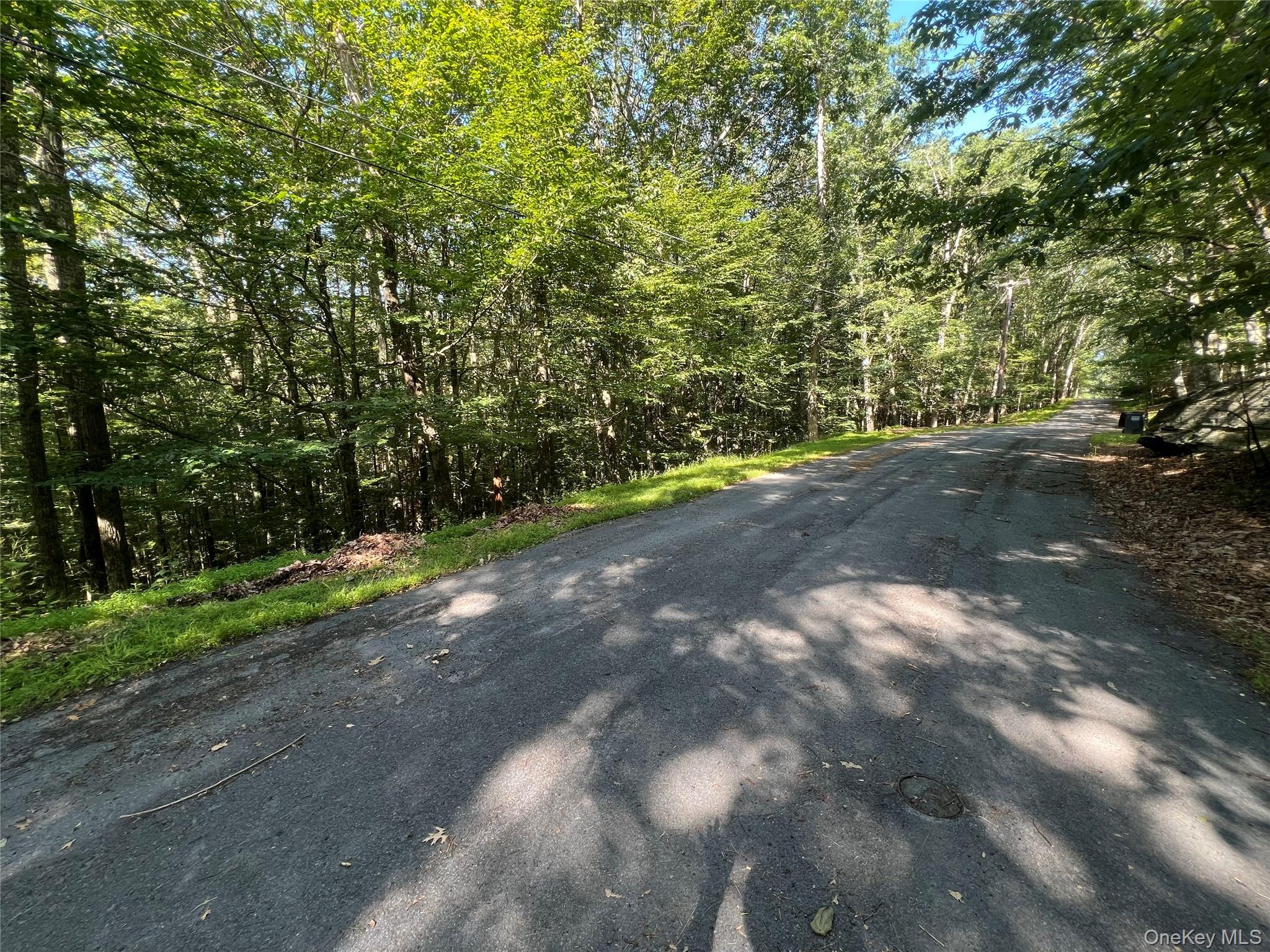 #3 photo, 39 Hilltop Lane, Narrowsburg , NY 12764