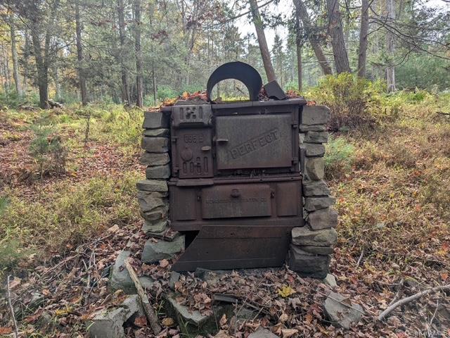 #17 photo, 131 Old Plank Road, Sparrowbush , NY 12780