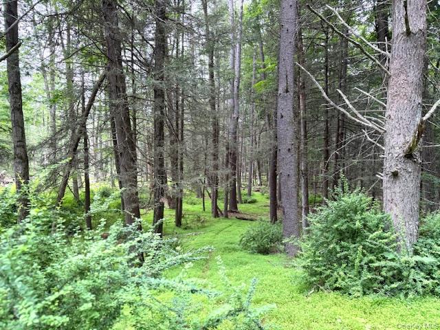 #2 photo, 131 Old Plank Road, Sparrowbush , NY 12780