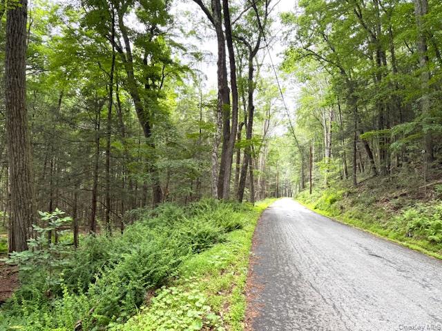 #6 photo, 131 Old Plank Road, Sparrowbush , NY 12780