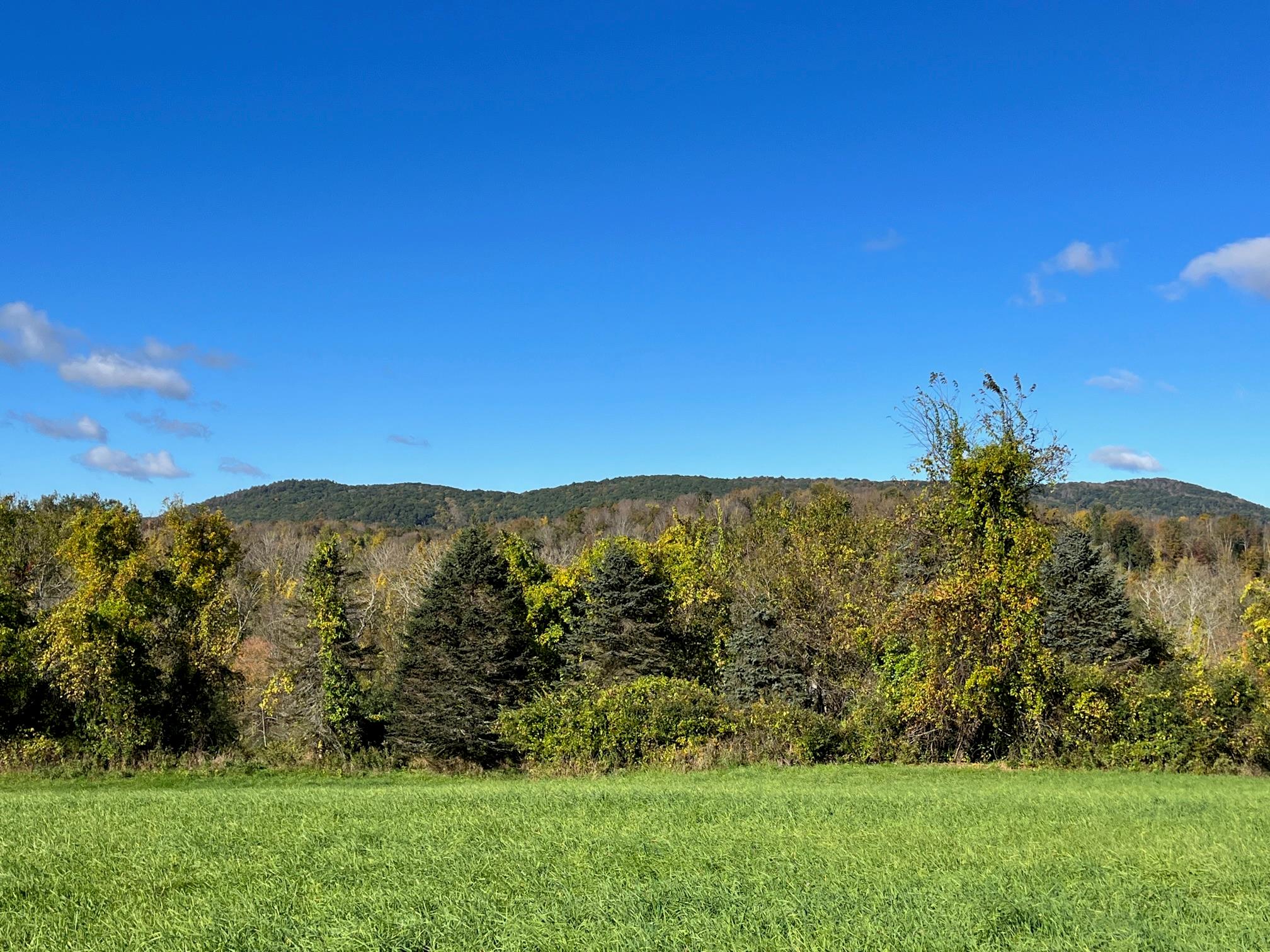 #10 photo, Kent Road, Wassaic , NY 12592