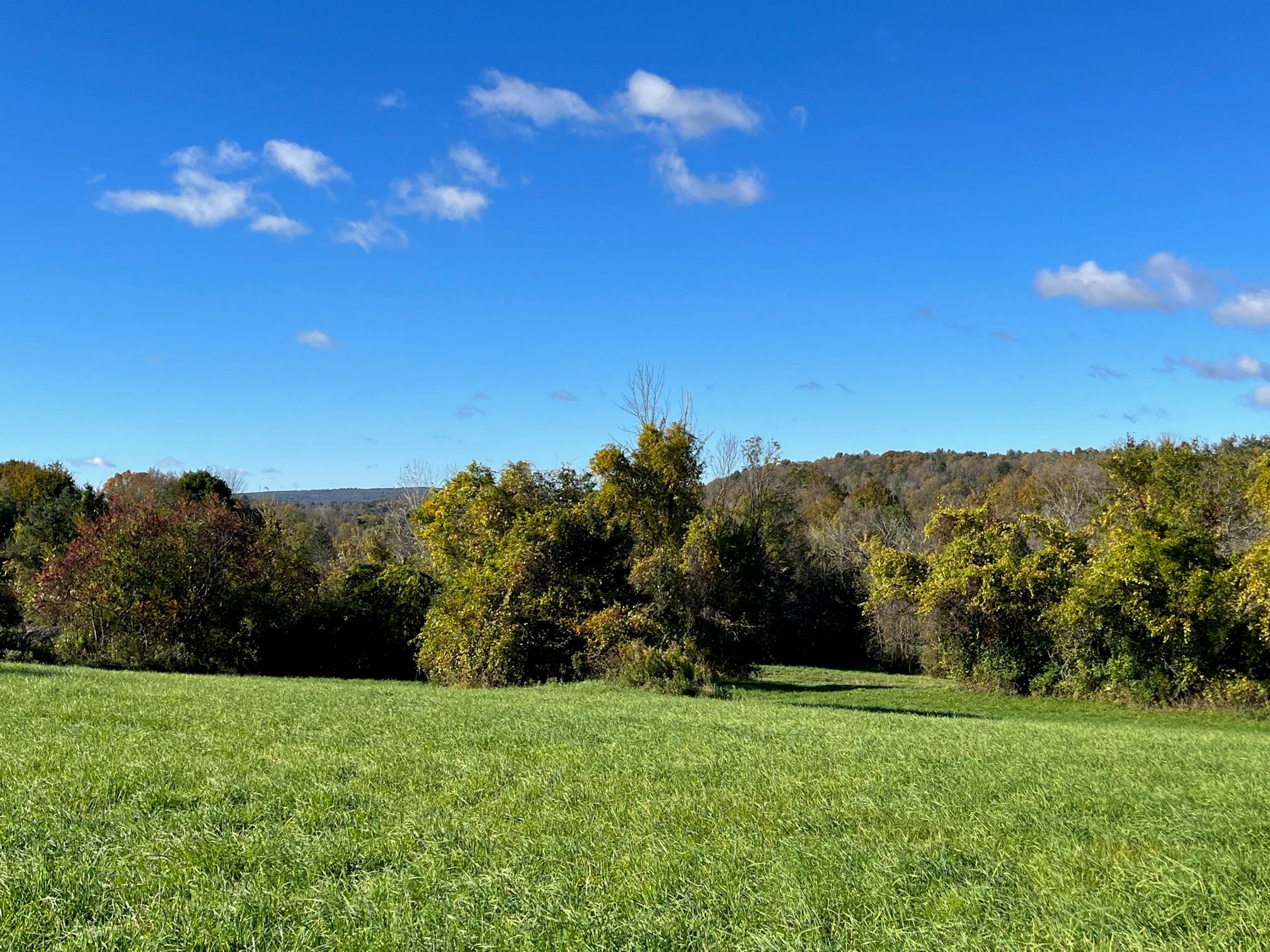 #11 photo, Kent Road, Wassaic , NY 12592