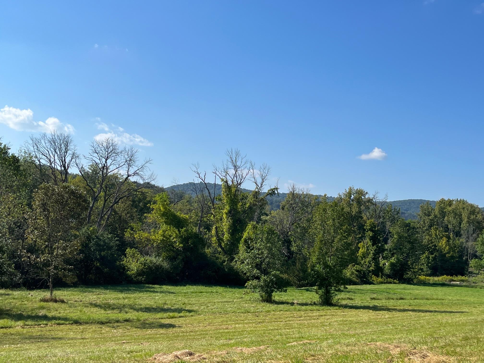 #2 photo, Kent Road, Wassaic , NY 12592