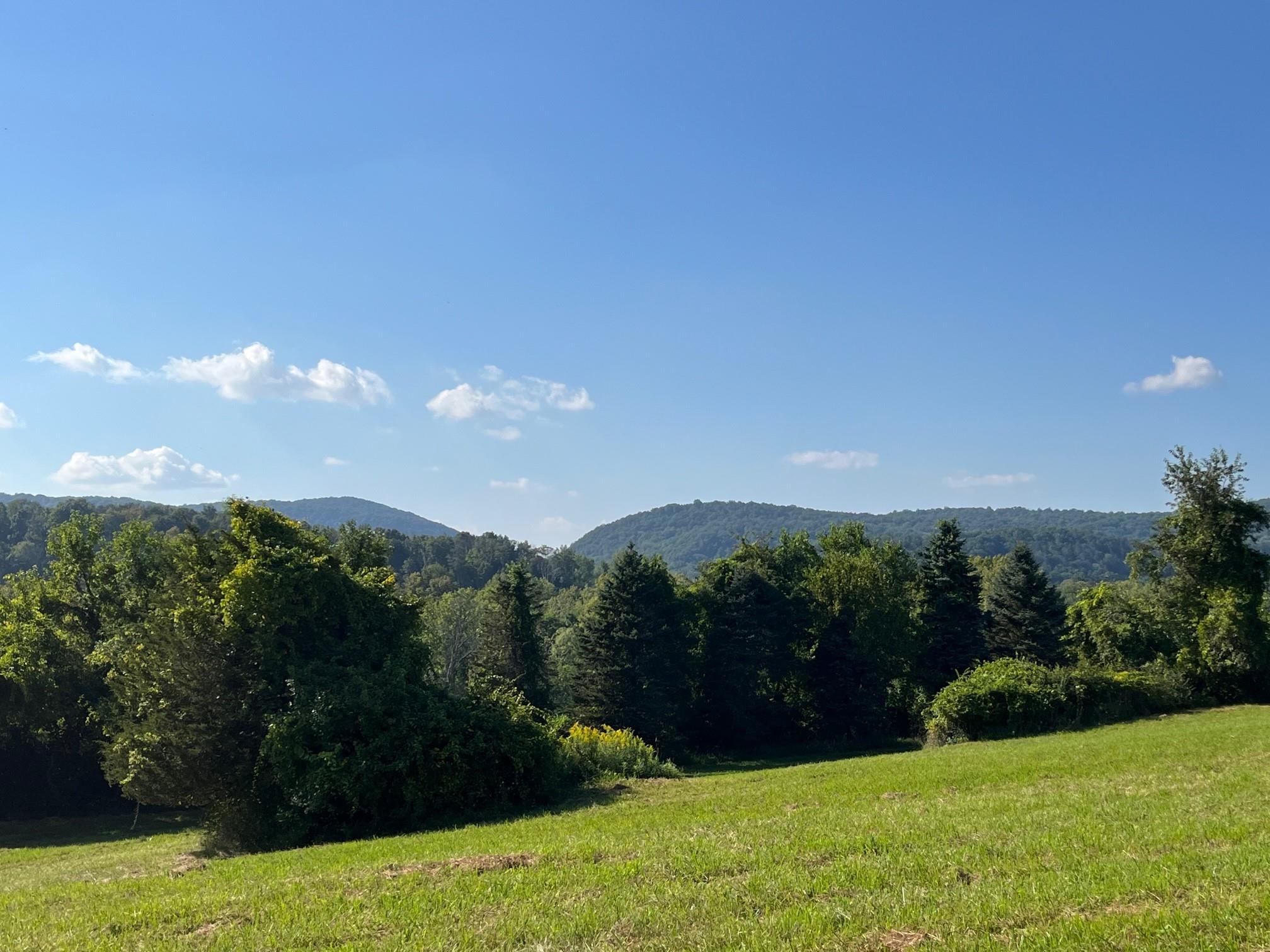 #3 photo, Kent Road, Wassaic , NY 12592