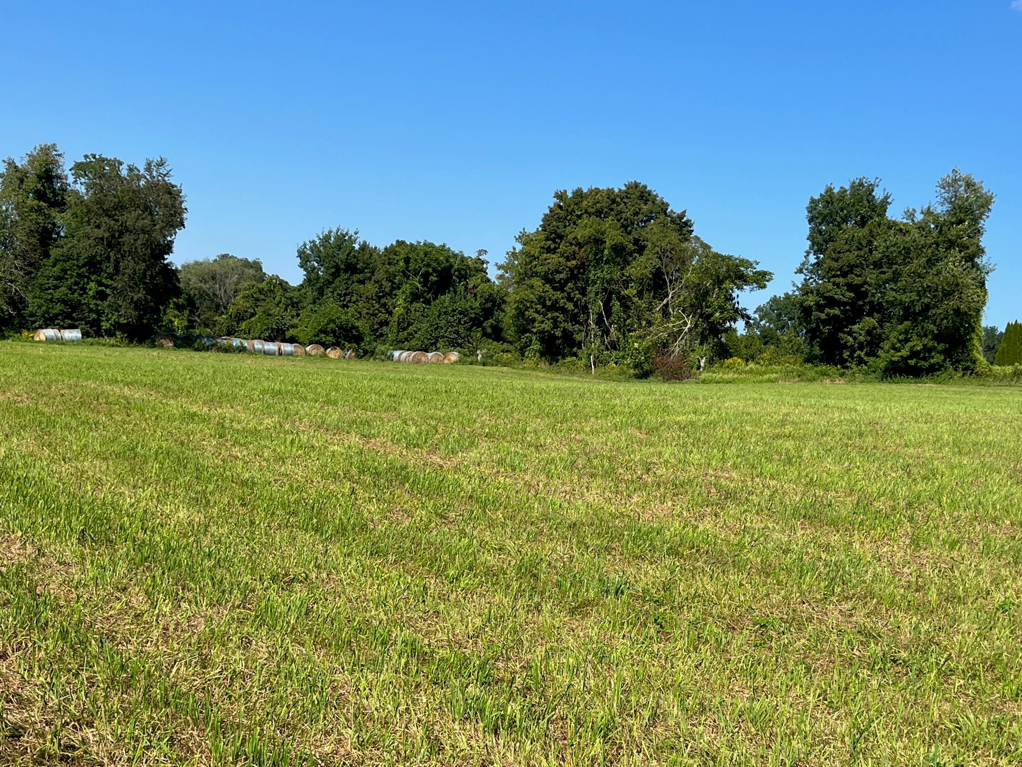 #7 photo, Kent Road, Wassaic , NY 12592