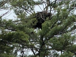 #10 photo, 8  Read Drive, Lake Luzerne , NY 12846