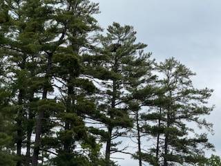 #8 photo, 8  Read Drive, Lake Luzerne , NY 12846