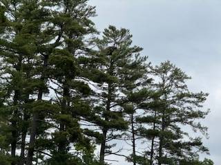 #9 photo, 8  Read Drive, Lake Luzerne , NY 12846