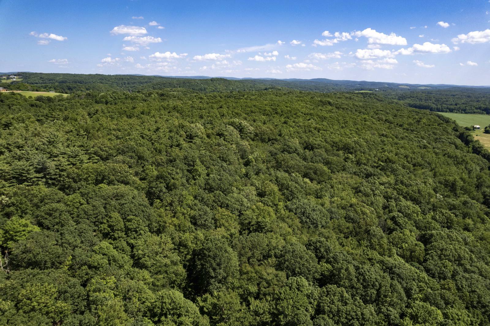 #64 photo, 788 White Mills Rd, Chatham , NY 12184