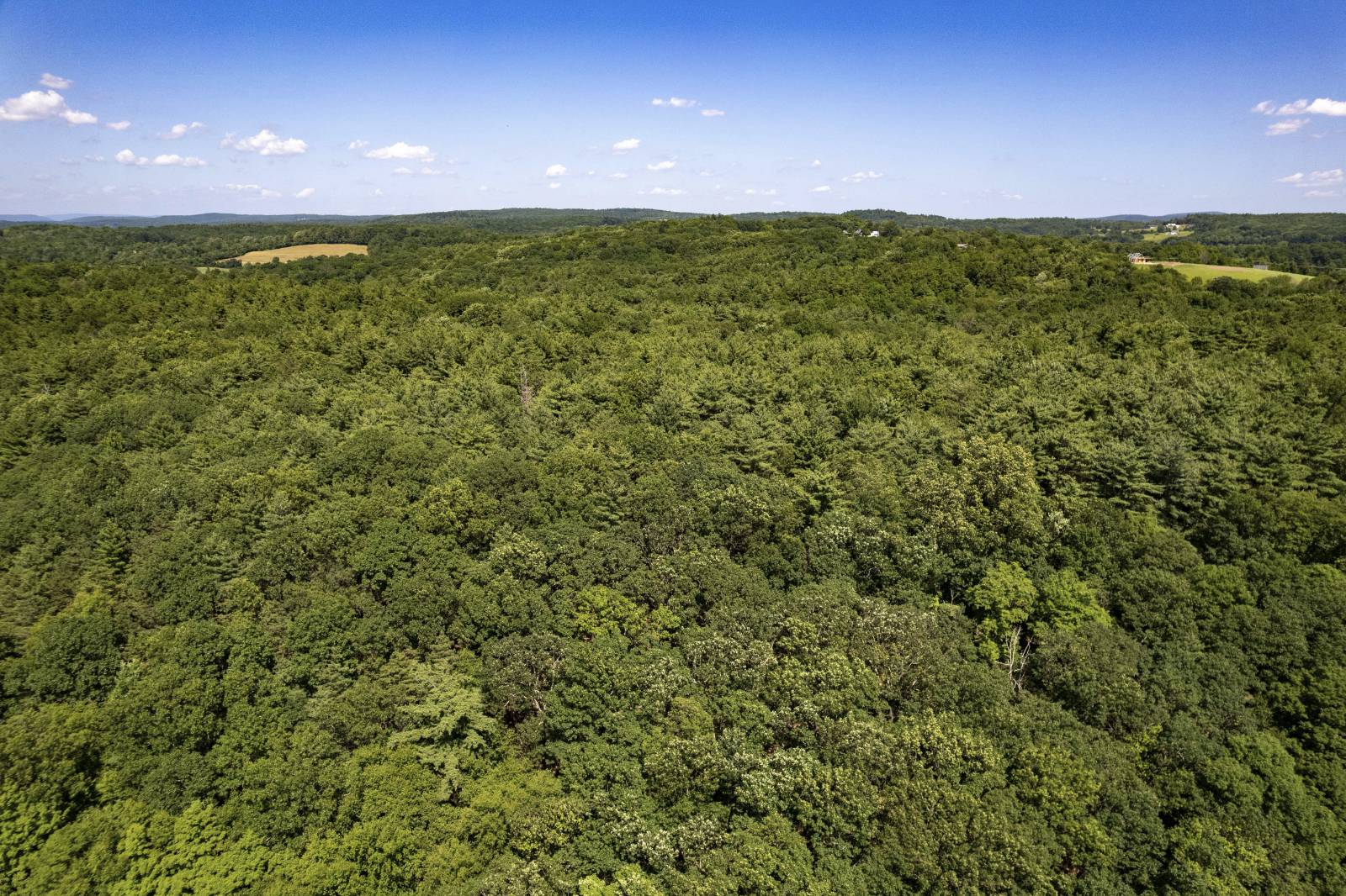 #65 photo, 788 White Mills Rd, Chatham , NY 12184