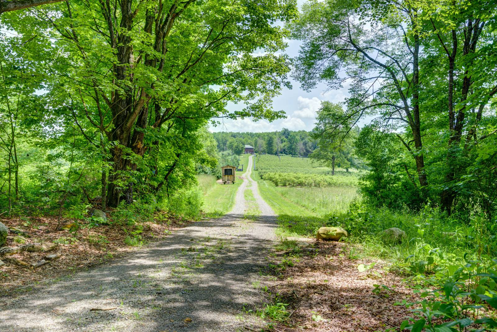 #1 photo, 220 Belden Corners Rd, Dolgeville , NY 13329