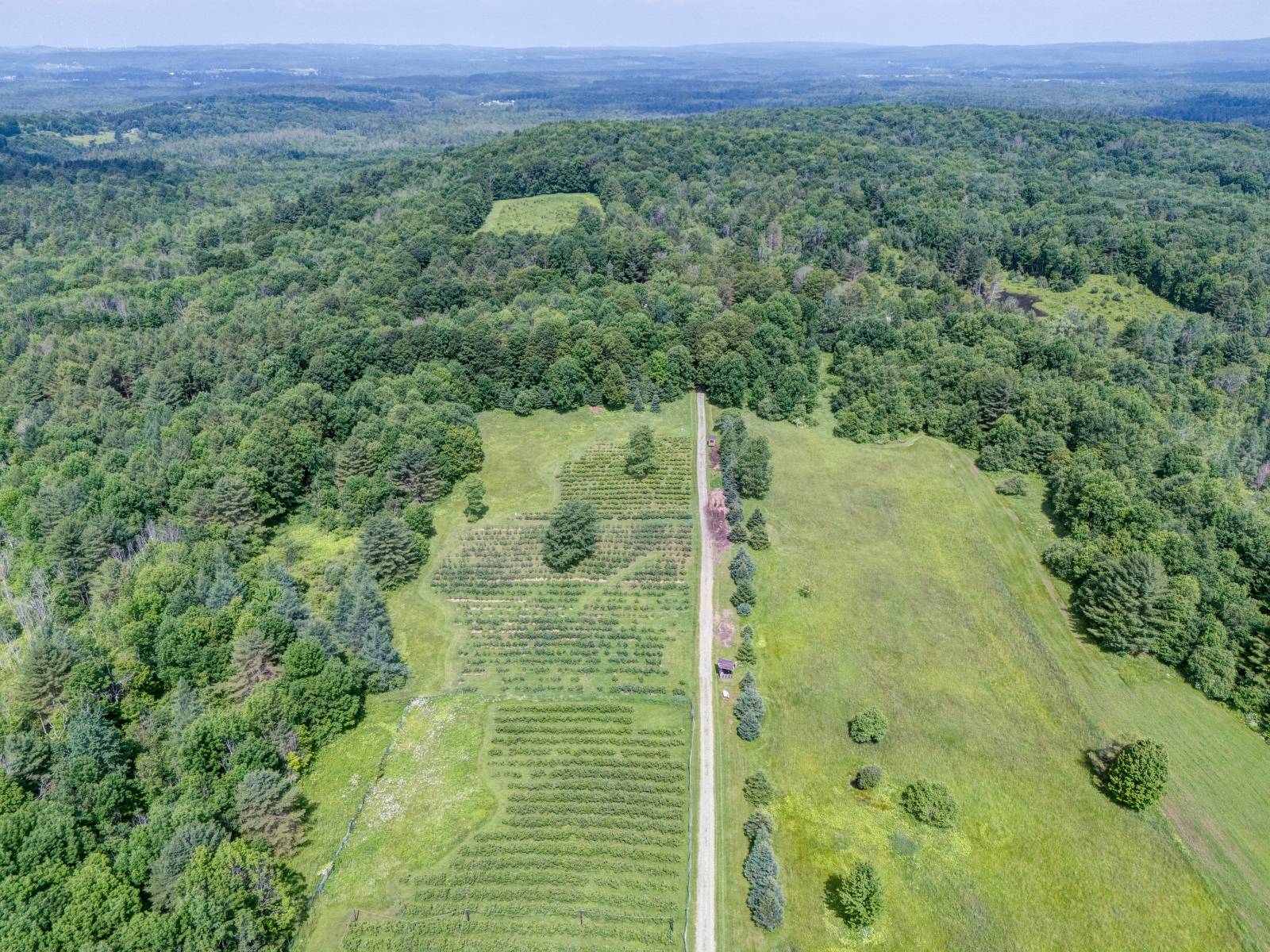 #14 photo, 220 Belden Corners Rd, Dolgeville , NY 13329