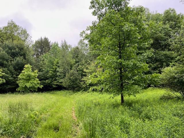#36 photo, 220 Belden Corners Rd, Dolgeville , NY 13329