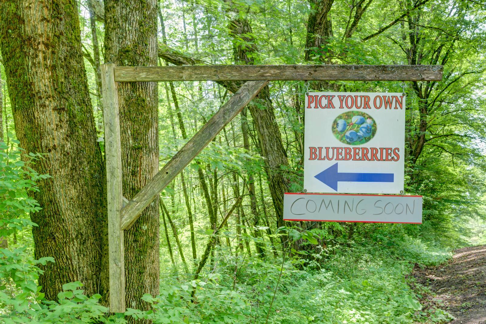 #4 photo, 220 Belden Corners Rd, Dolgeville , NY 13329