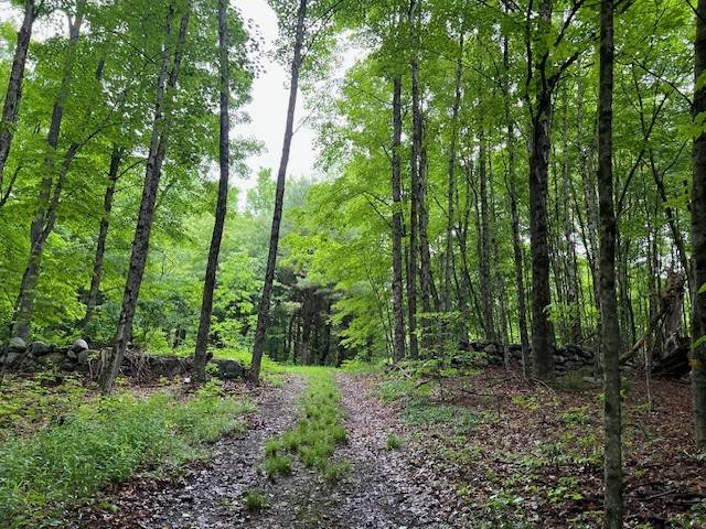 #40 photo, 220 Belden Corners Rd, Dolgeville , NY 13329