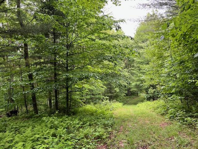 #45 photo, 220 Belden Corners Rd, Dolgeville , NY 13329