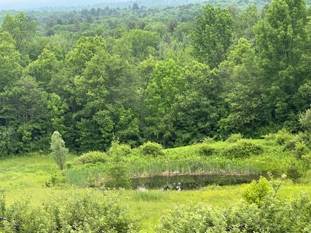 #46 photo, 220 Belden Corners Rd, Dolgeville , NY 13329