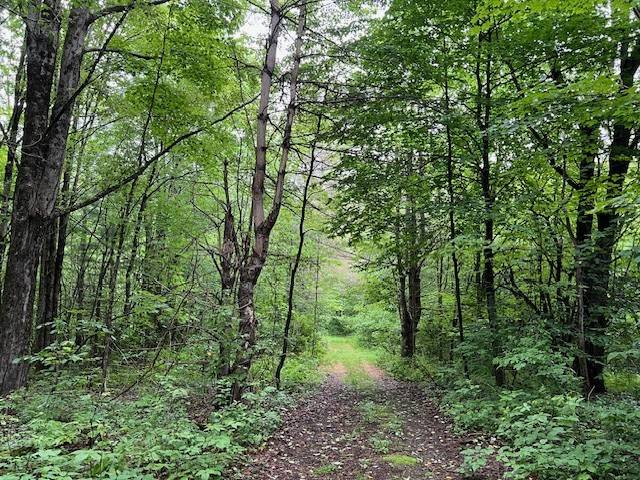 #47 photo, 220 Belden Corners Rd, Dolgeville , NY 13329