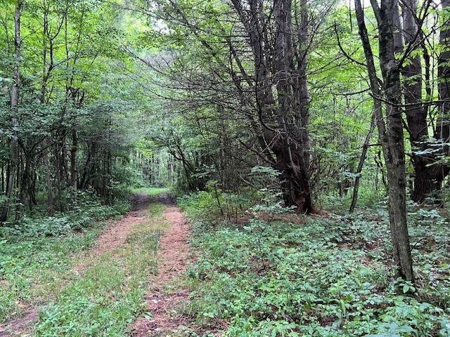 #48 photo, 220 Belden Corners Rd, Dolgeville , NY 13329