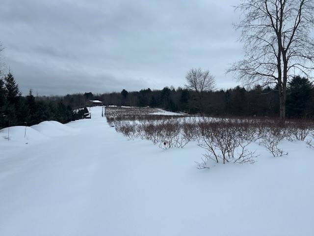 #55 photo, 220 Belden Corners Rd, Dolgeville , NY 13329