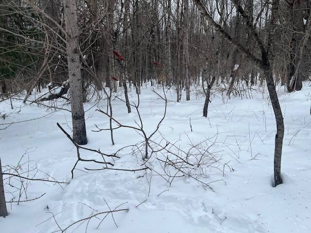 #56 photo, 220 Belden Corners Rd, Dolgeville , NY 13329