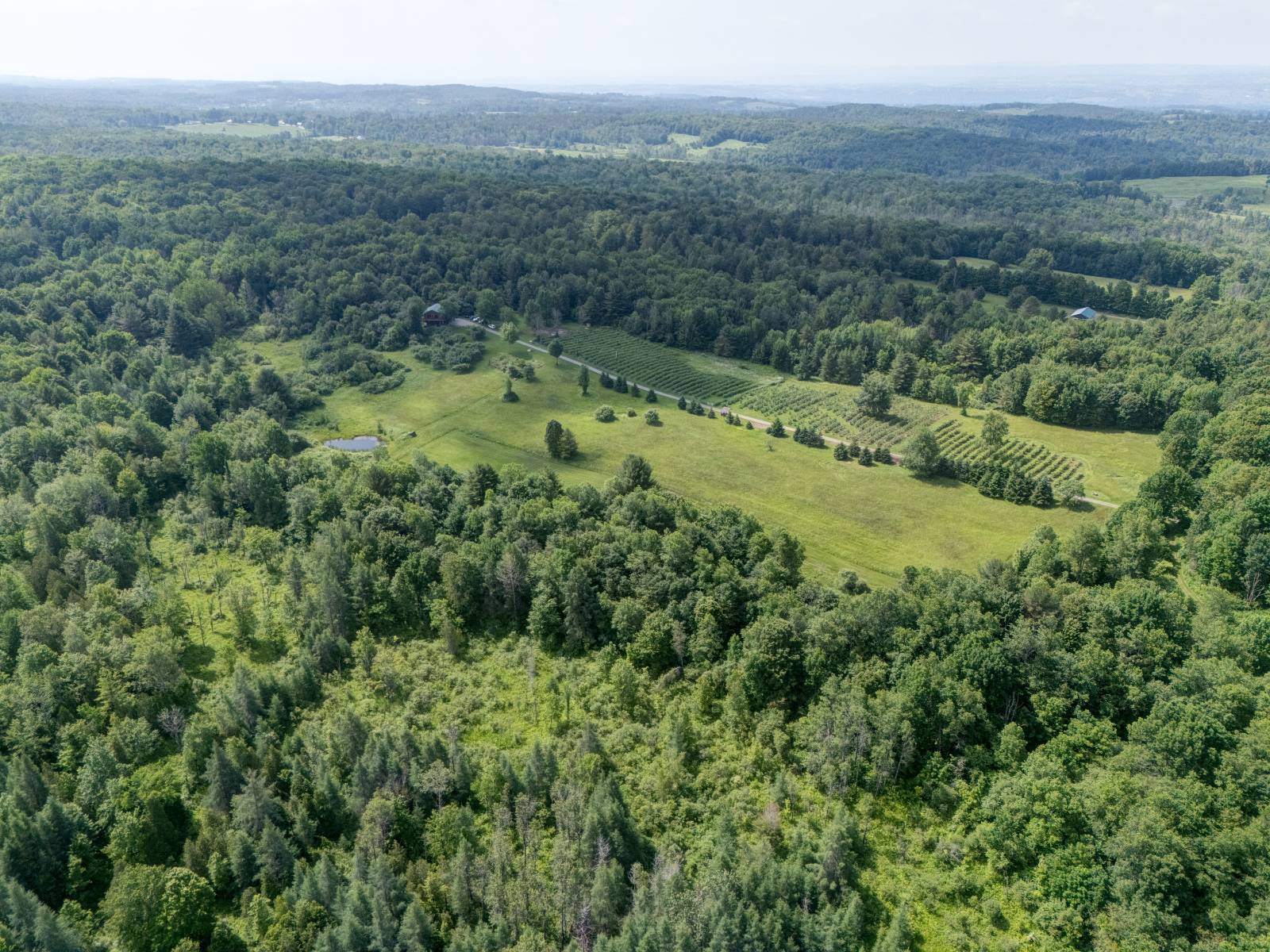 #8 photo, 220 Belden Corners Rd, Dolgeville , NY 13329