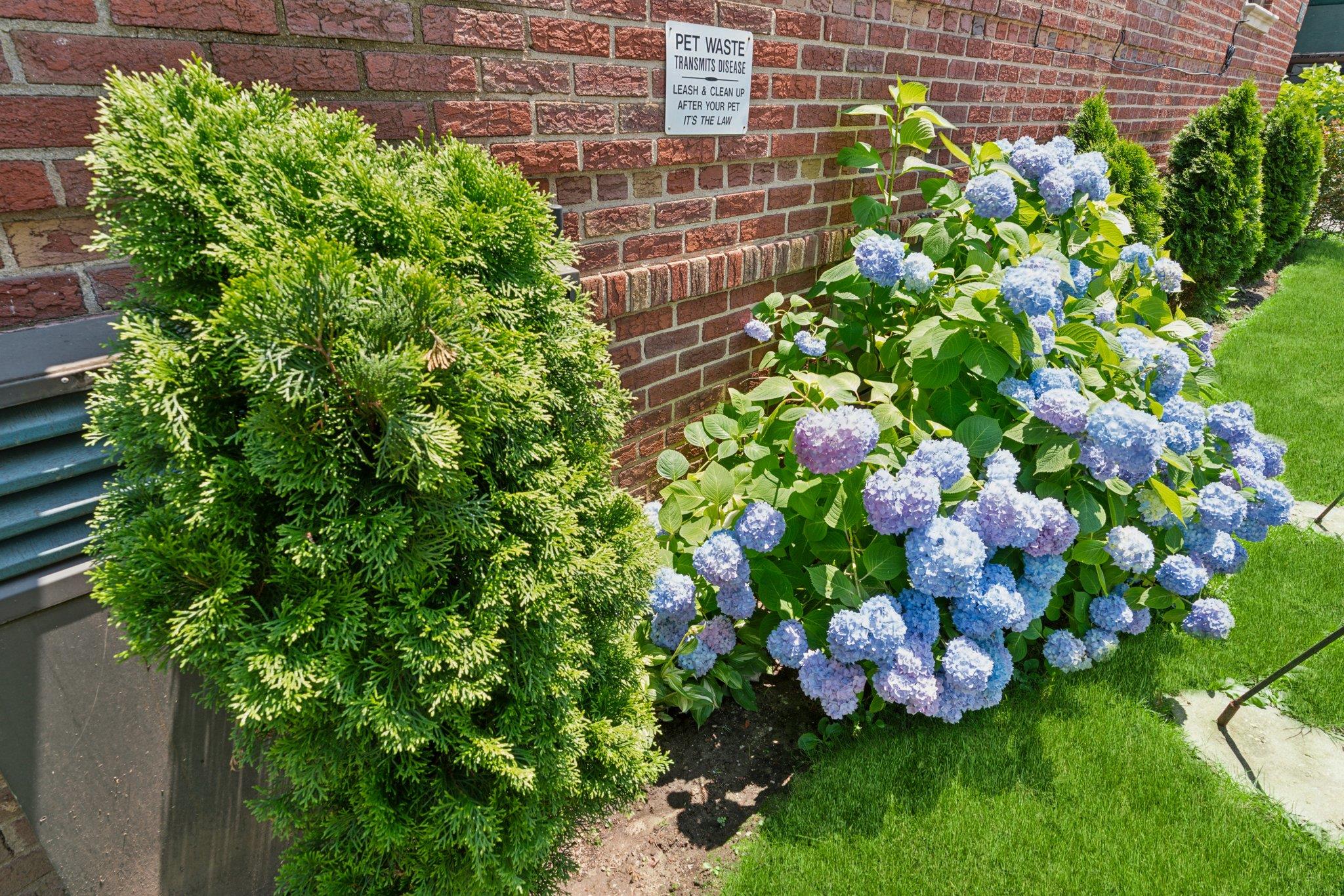 #2 photo, 2835 Bedford Avenue, ブルックリン区 Brooklyn , NY 11210