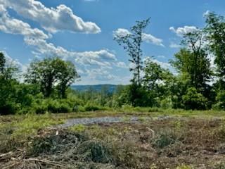 #8 photo, Lot 5 Chelsea Road, Hughsonville , NY 12590