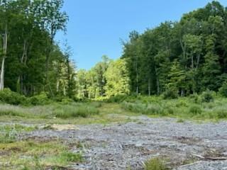 #1 photo, Lot 3 Chelsea Road, 紐約州 Hughsonville , NY 12590