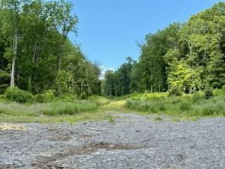 #8 photo, Lot 2 Chelsea Road, Hughsonville , NY 12590