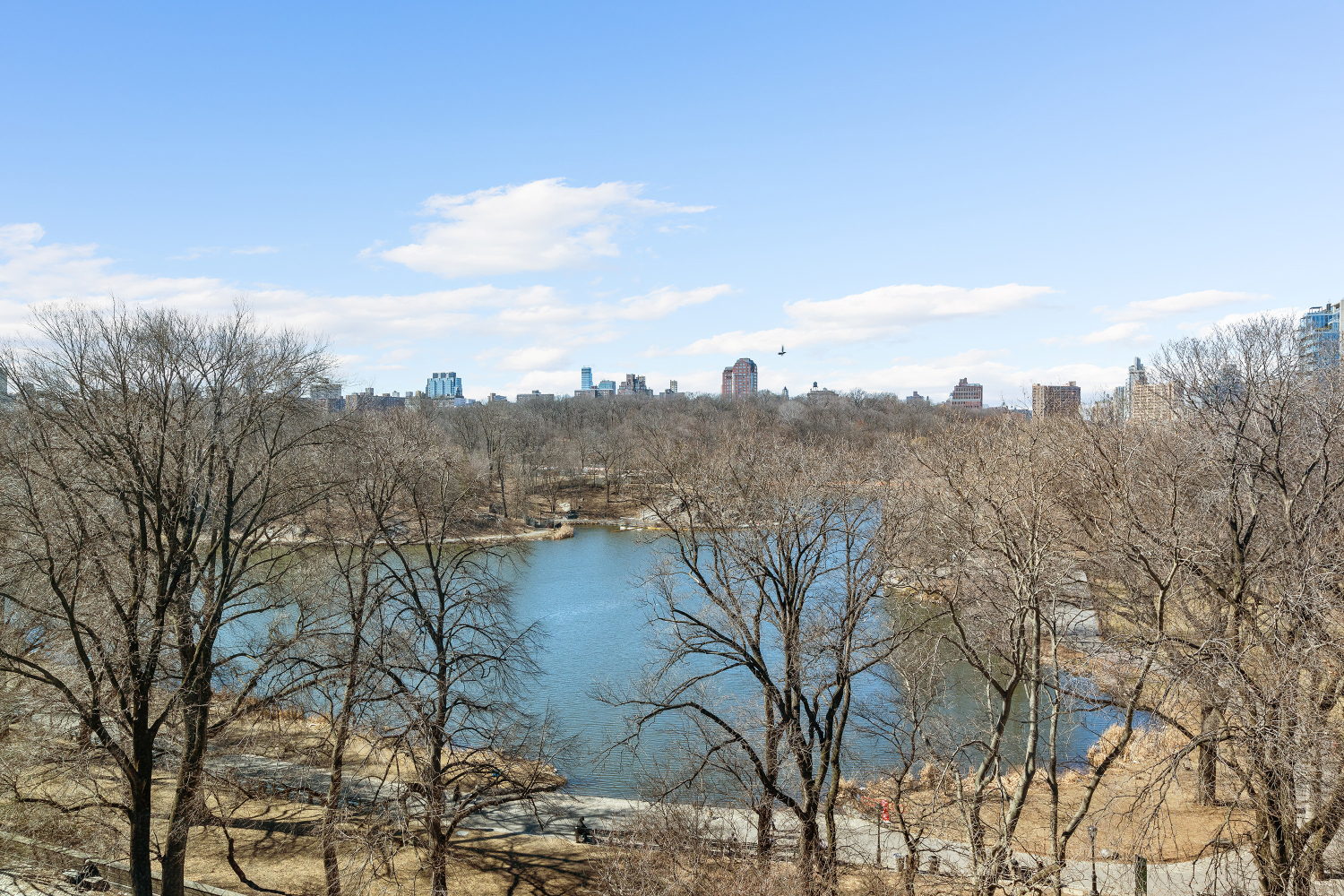 #1 photo, New York City, مانهاتن East Harlem , NY 10029