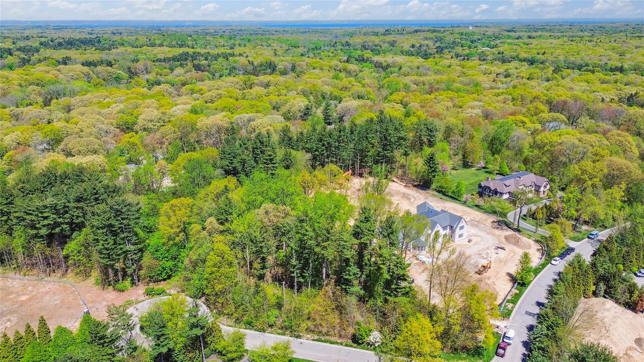 #12 photo, 10 Bromley Court, ナッソー郡 Muttontown , NY 11791