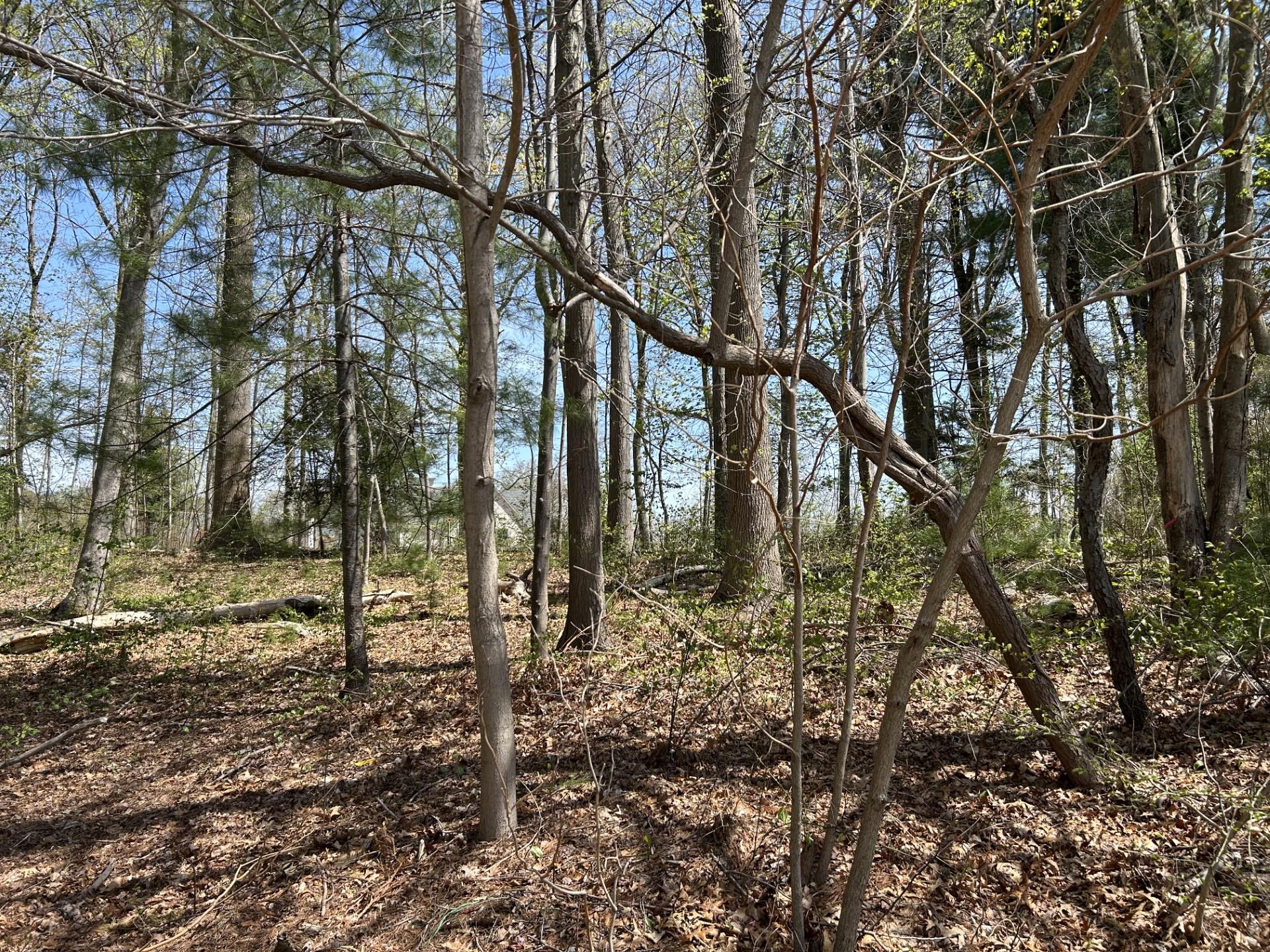 #3 photo, 10 Bromley Court, ナッソー郡 Muttontown , NY 11791