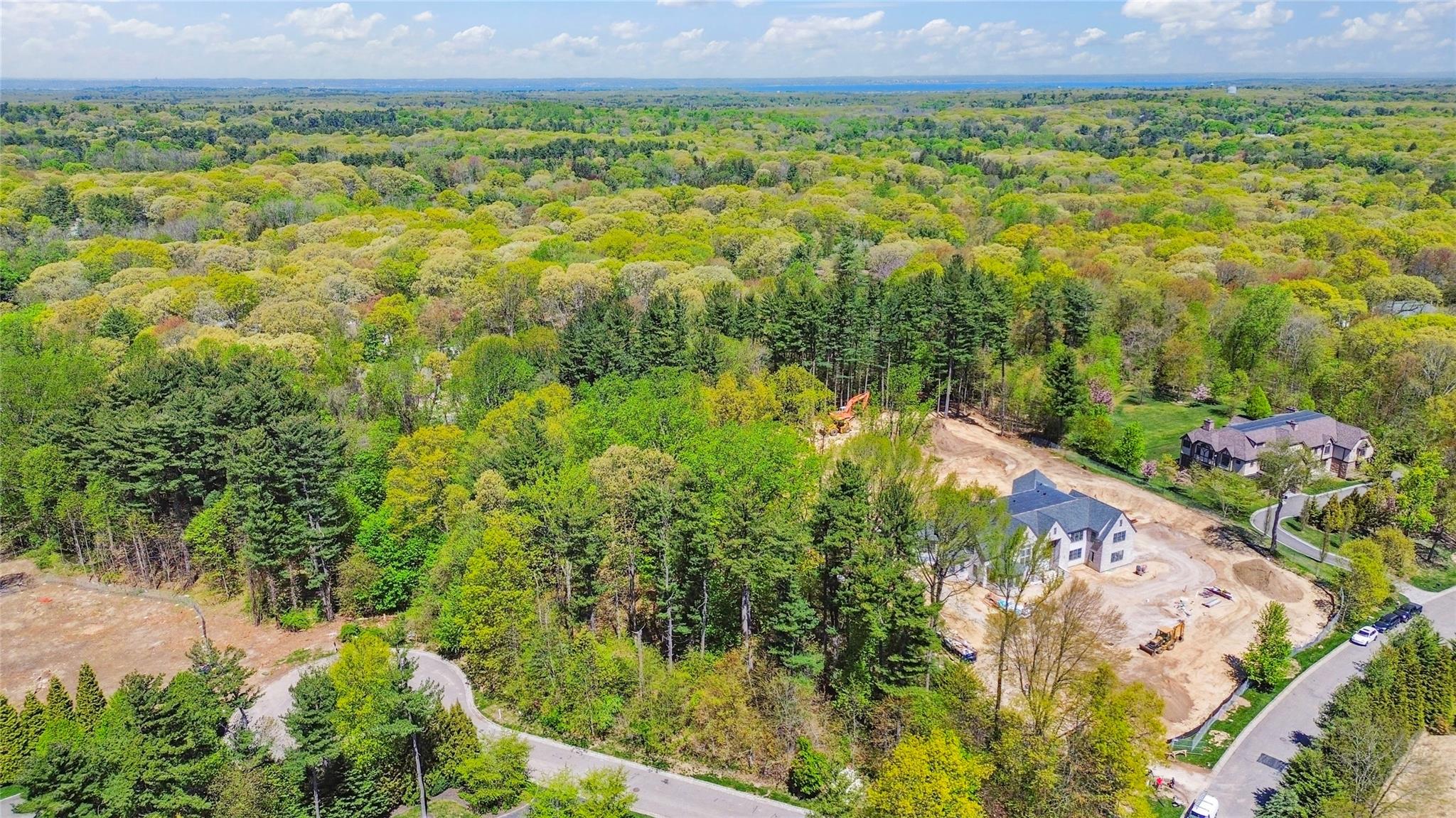 #9 photo, 10 Bromley Court, ナッソー郡 Muttontown , NY 11791