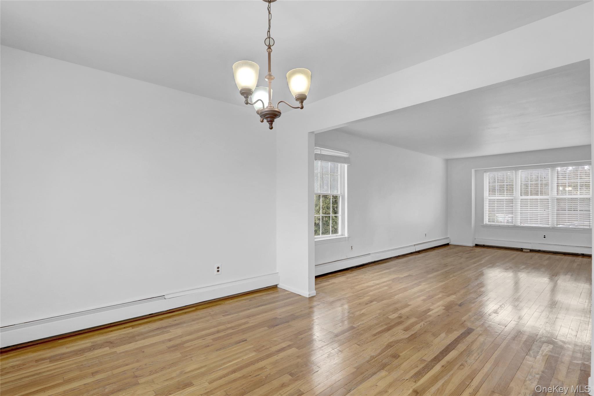 #9 photo, 176 Jackson Avenue, ナッソー郡 Syosset , NY 11791