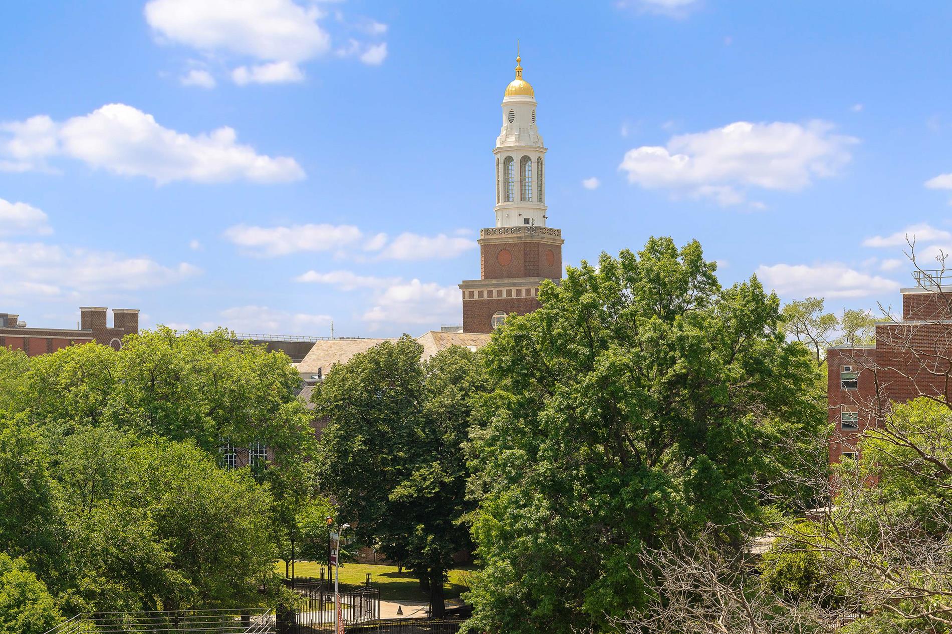 #6 photo, 145 Kenilworth Place, ブルックリン区 Flatbush , NY 11210