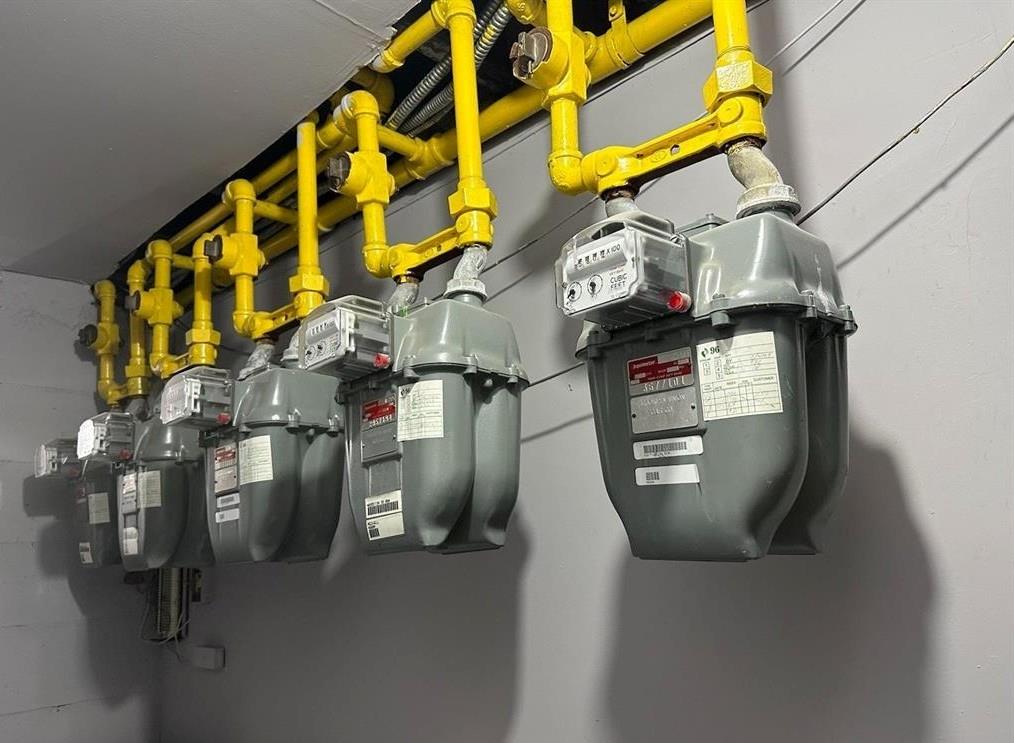 #12 photo, 5609 Van Cleef Street, クイーンズ区 Corona , NY 11368